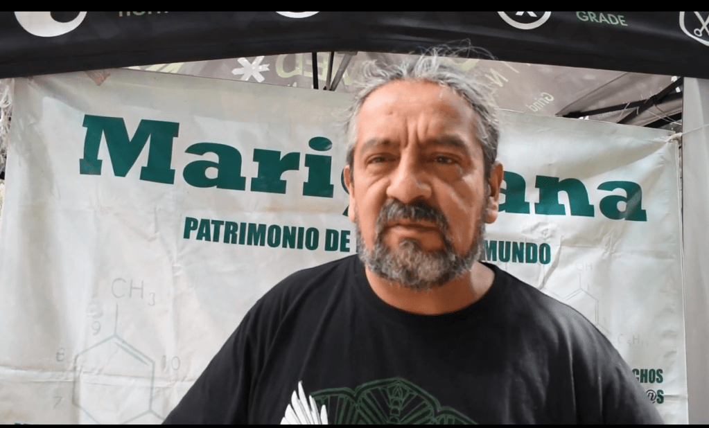 Piden debatir la legalización de la cannabis en el Senado&nbsp;Mexicano.