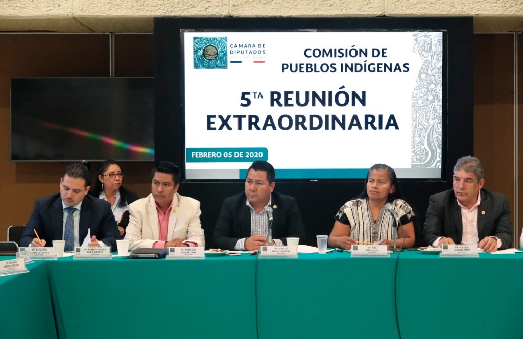 Cámara de Diputados citará a Adelfo&nbsp;Regino