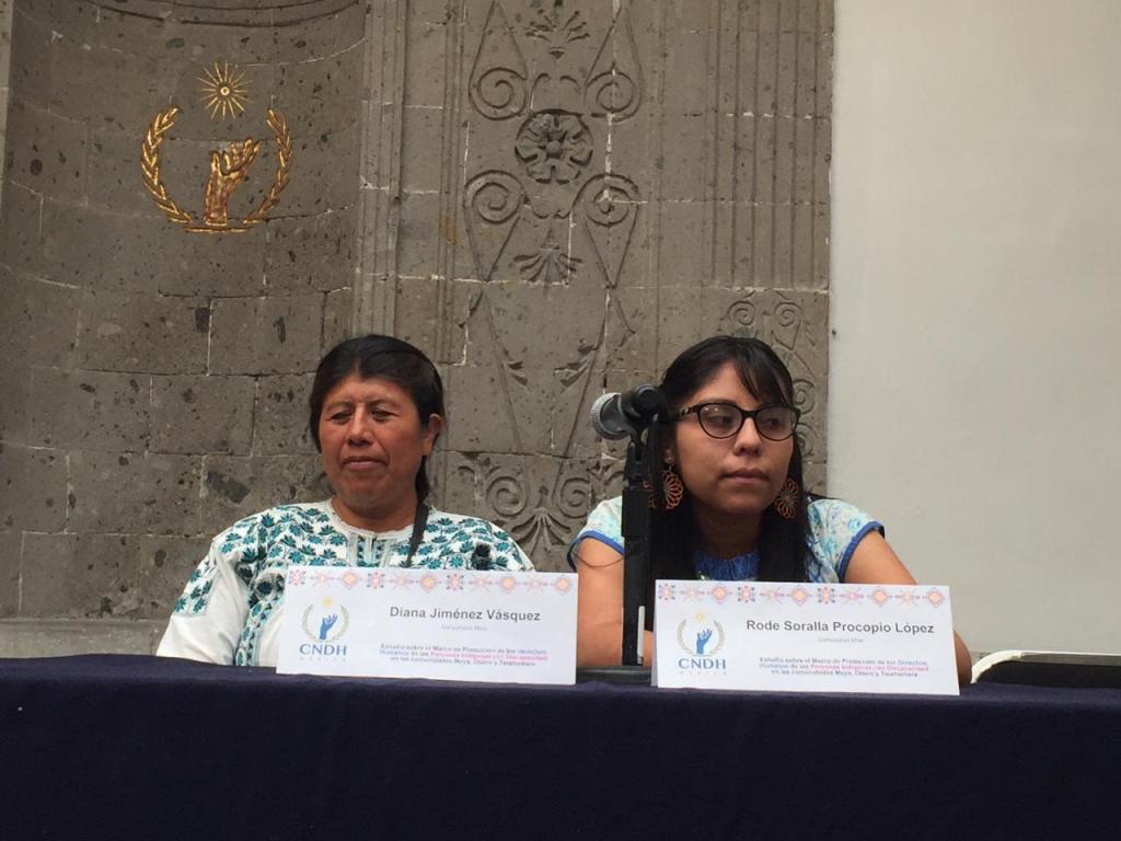 Mujeres indígenas con discapacidad; en lucha por sus&nbsp;derechos