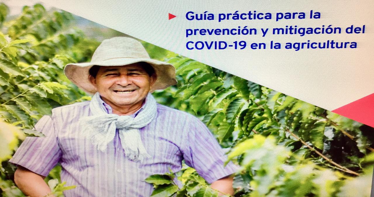OIT lanza desde México guía para prevenir COVID-19 en sector agrícola en AL