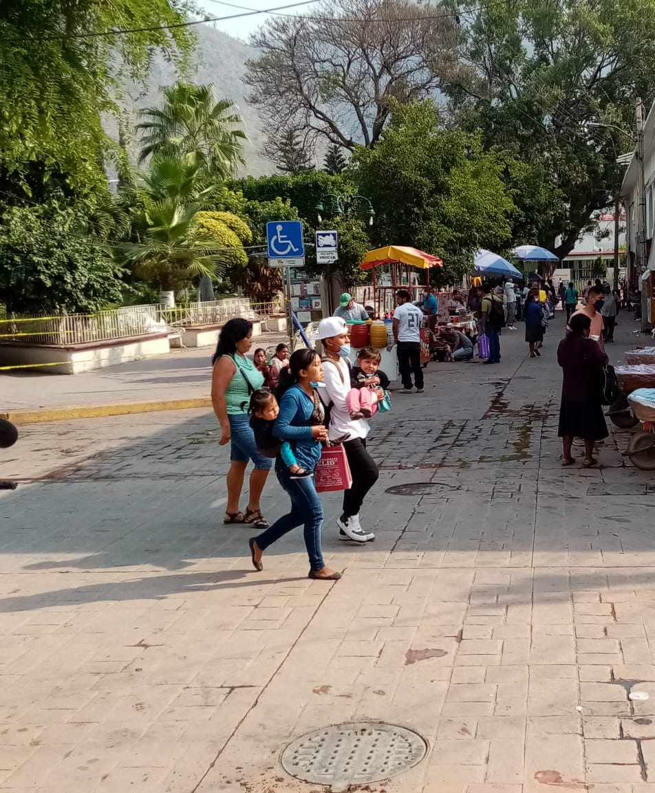 Derechos Humanos en la atención a pueblos indígenas y afromexicanos ante la pandemia&nbsp;Covid-19