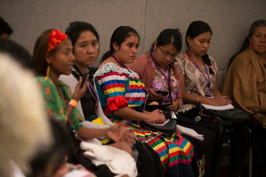 Recomiendan mujeres indígenas  de América desagregar datos de personas indígenas y&nbsp;Covid-19