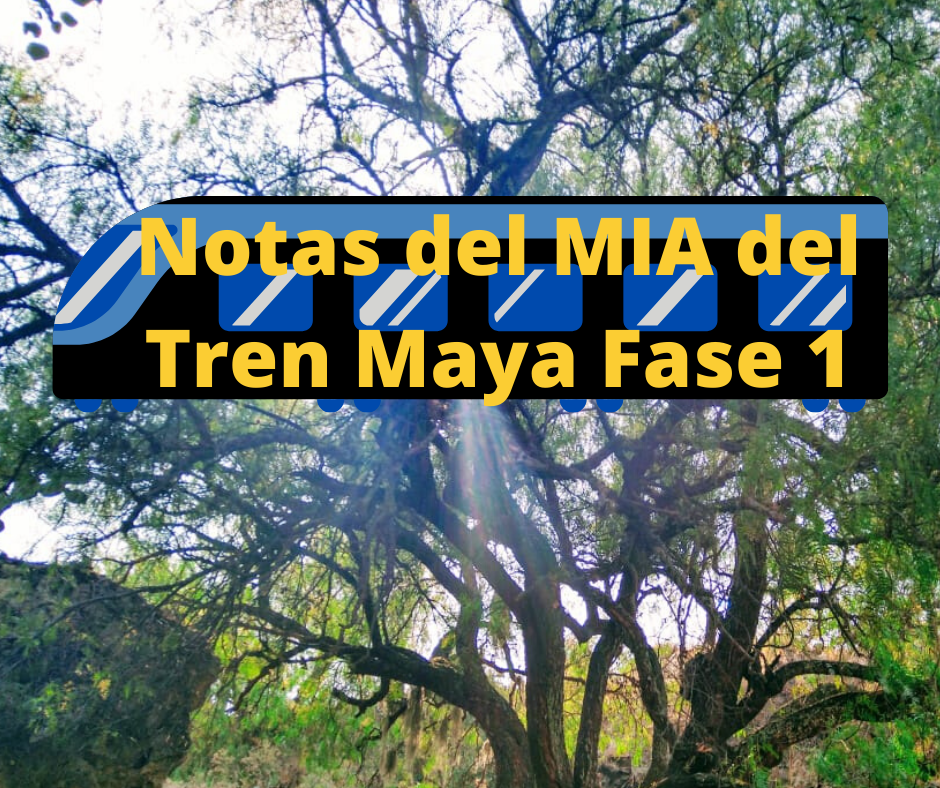 Sobre la Manifestación de Impacto Ambiental del «Proyecto Tren Maya Fase&nbsp;1»