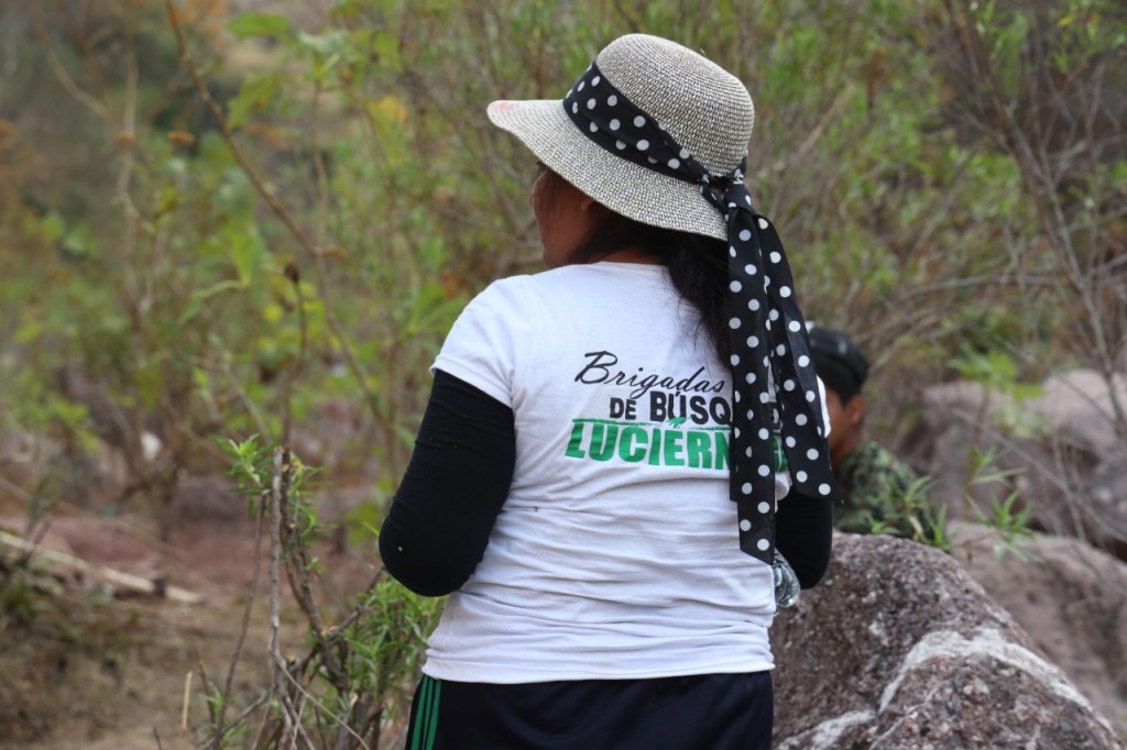 Desaparición forzada en la Montaña de Guerrero: Entre la ausencia y la&nbsp;esperanza