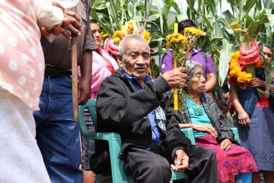 Baile de la Milpa de Chiepetepec incorpora a niños al ritual