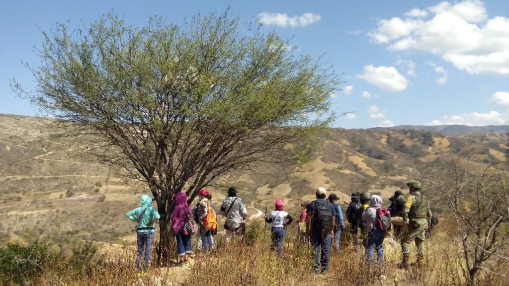 Encuentran restos óseos en jornada de búsqueda en la&nbsp;Montaña