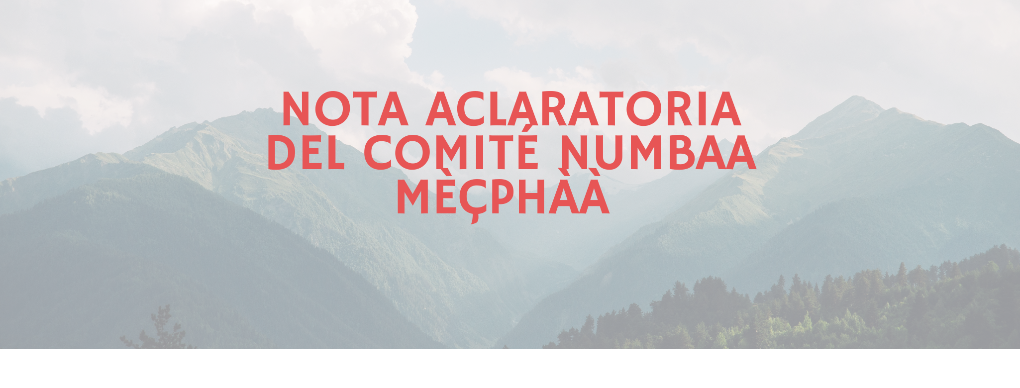 Nota aclaratoria del Comité de Desarrollo Lingüístico Numbaa Mèçphàà