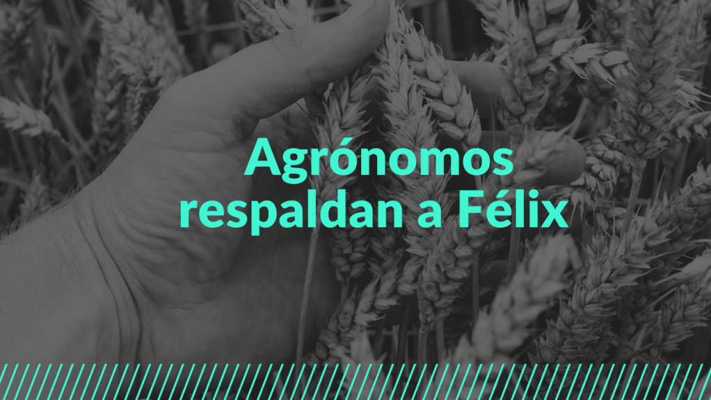 Agrónomos condenan la “guerra sucia” contra Félix&nbsp;Salgado