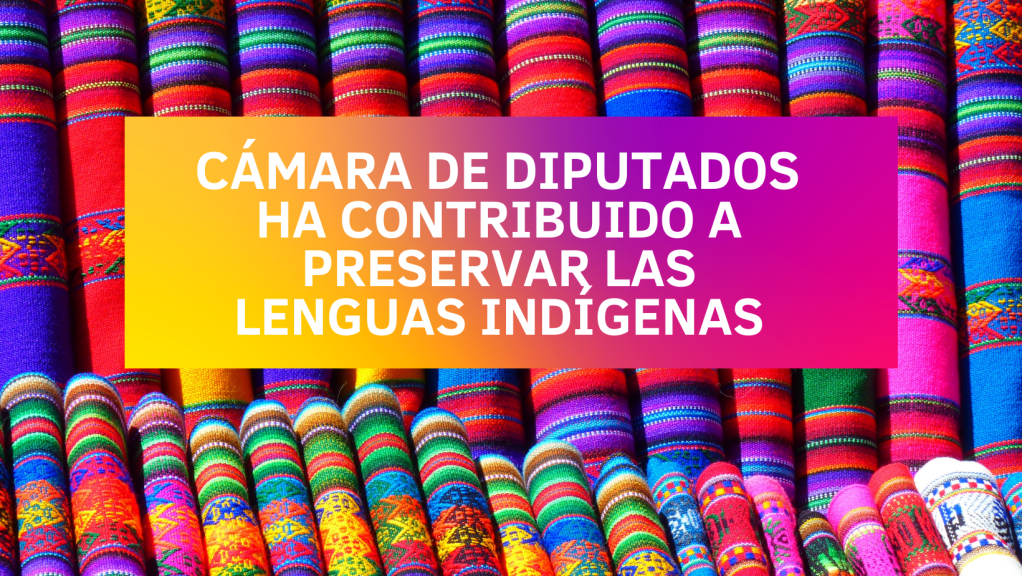 La 64 Legislatura ha elevado a rango constitucional las lenguas nacionales: diputada Irma Juan&nbsp;Carlos
