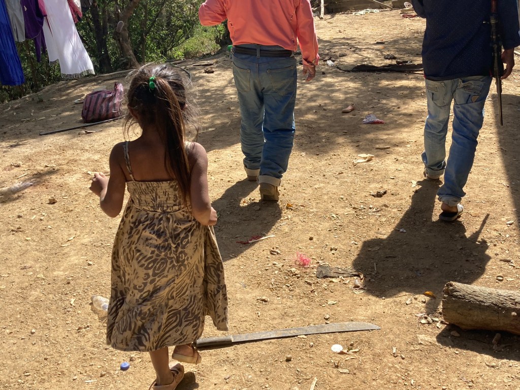 Reclaman pobladores al gobierno; seguridad en límites de Guerrero con&nbsp;Oaxaca