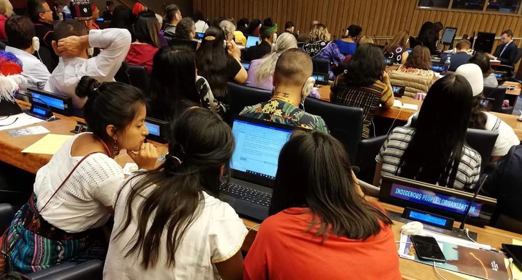 JUVENTUDES Y NIÑEZ INDÍGENA; TEMA TRANSVERSAL EN SUS 6 ÁREAS DE MANDATO DEL FORO&nbsp;PERMANENTE