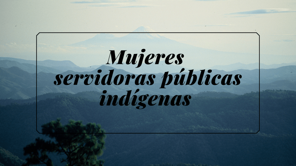 ROMPER PARADIGMAS, PARA ACCEDER A PUESTOSPÚBLICOS: COINCIDEN SERVIDORAS PÚBLICAS&nbsp;INDÍGENAS