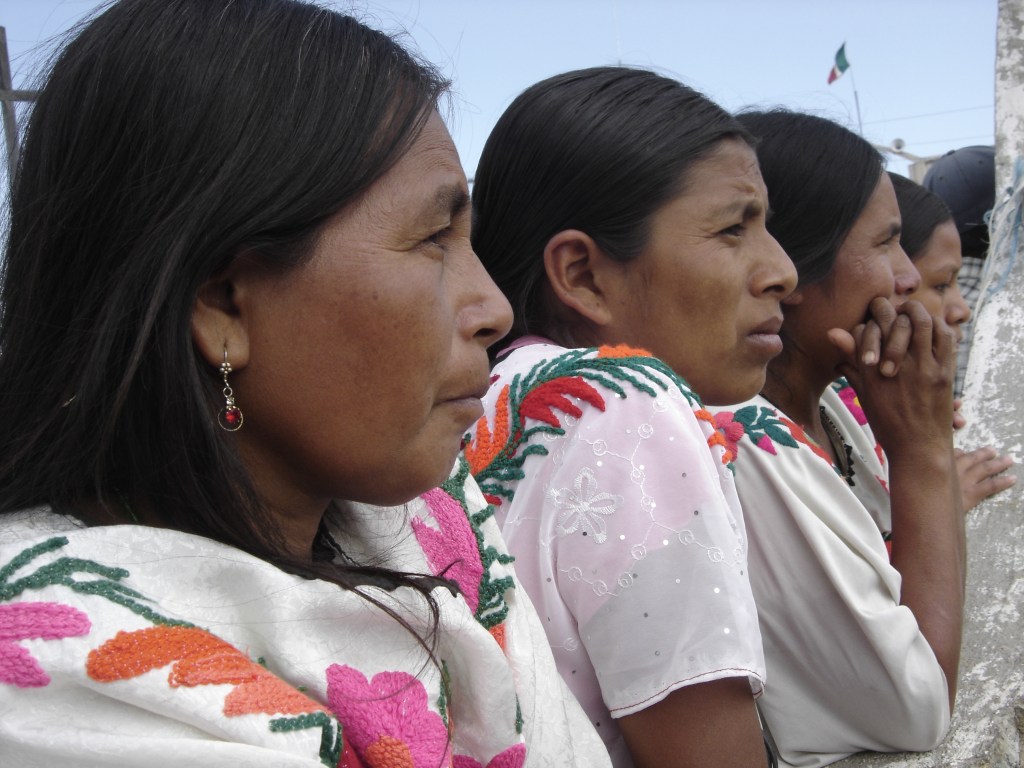 QUE PARTIDOS POLÍTICOS GARANTICEN CANDIDATURAS INDÍGENAS Y&nbsp;AFROMEXICANAS