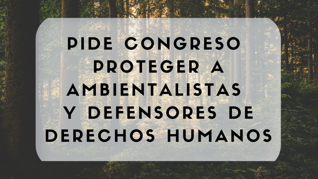 APRUEBAN EXHORTO A LA JUNTA DE GOBIERNO DEL ESTADO PARA LA PROTECCIÓN DE LOS DEFENSORES DE DDHH Y&nbsp;AMBIENTALISTAS