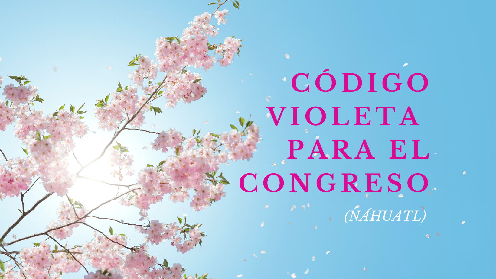 KITEMOA CONGRESO ITECH ESTADO  MOPACHOS ITECH IN AMATLAJKUILOLI “CÓDIGO VIOLETA”, IKA MOPALEUISKEJ IN SIUAMEJ UAN AMO KIPANOKAN MAILISMEJ