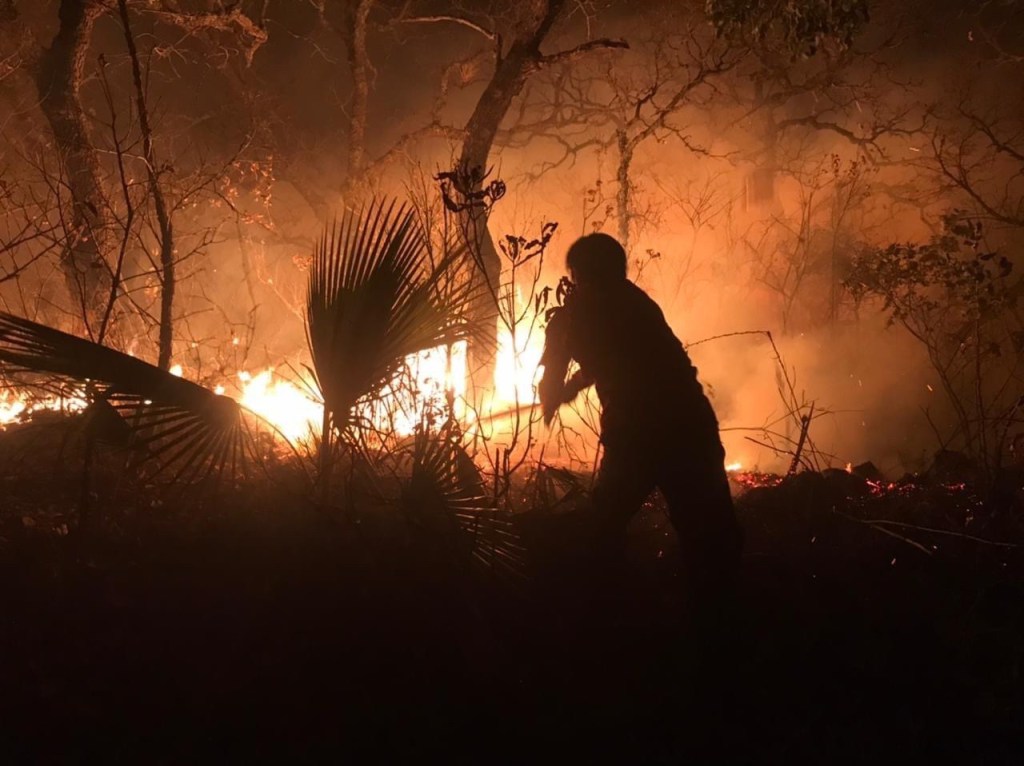 Se incendió Amate Amarillo,&nbsp;Tlapa