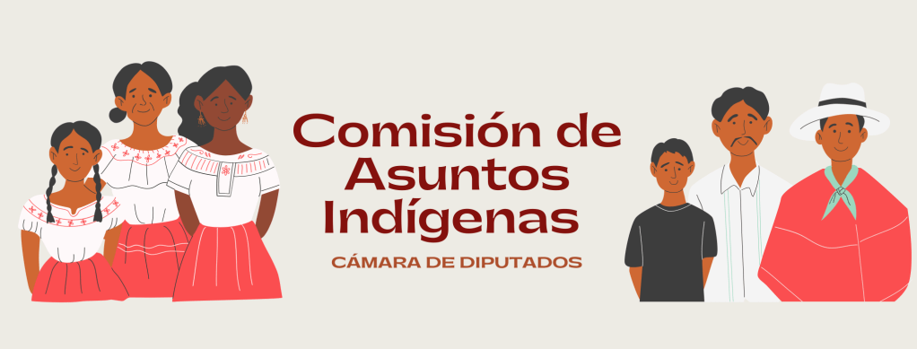 La Comisión de Pueblos Indígenas sentó las bases para saldar deuda histórica con comunidades originarias y&nbsp;afromexicanas