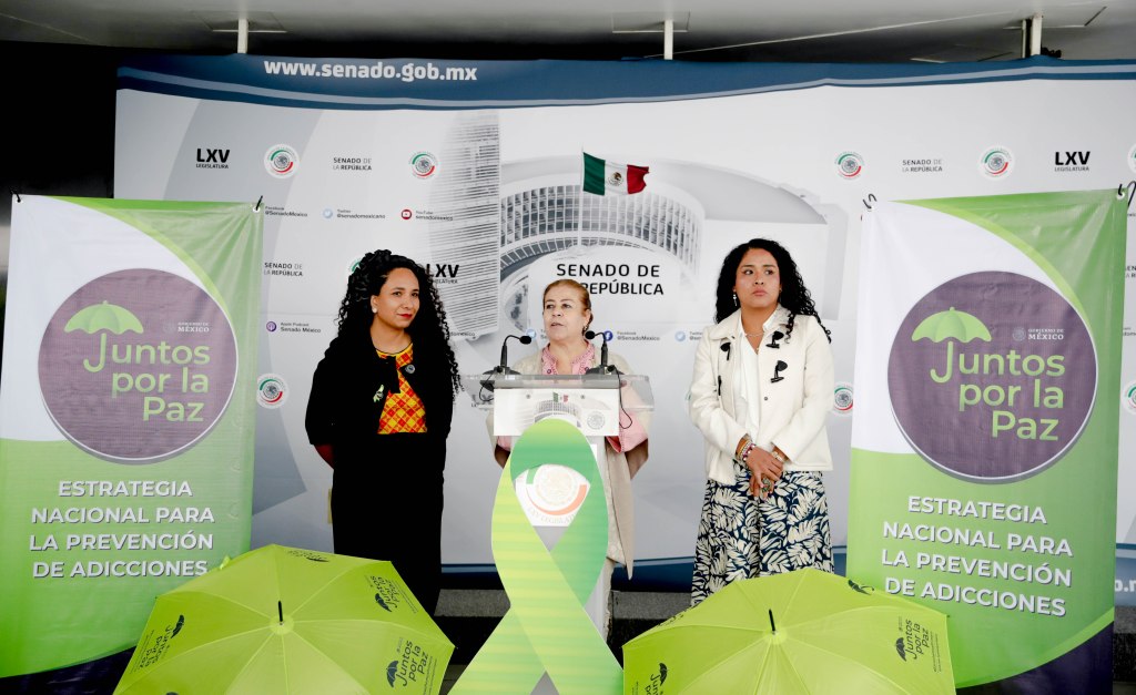 Enfermedades mentales afectan a 15 millones de personas en&nbsp;México