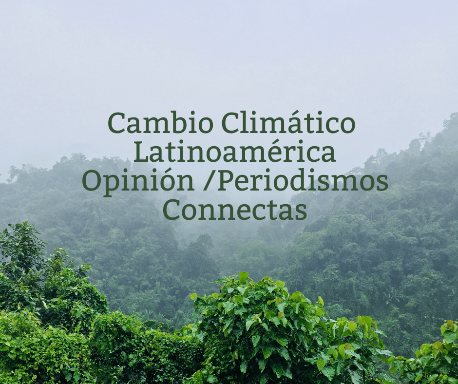Latinoamérica en la COP, una nueva oportunidad contra el cambio&nbsp;climático