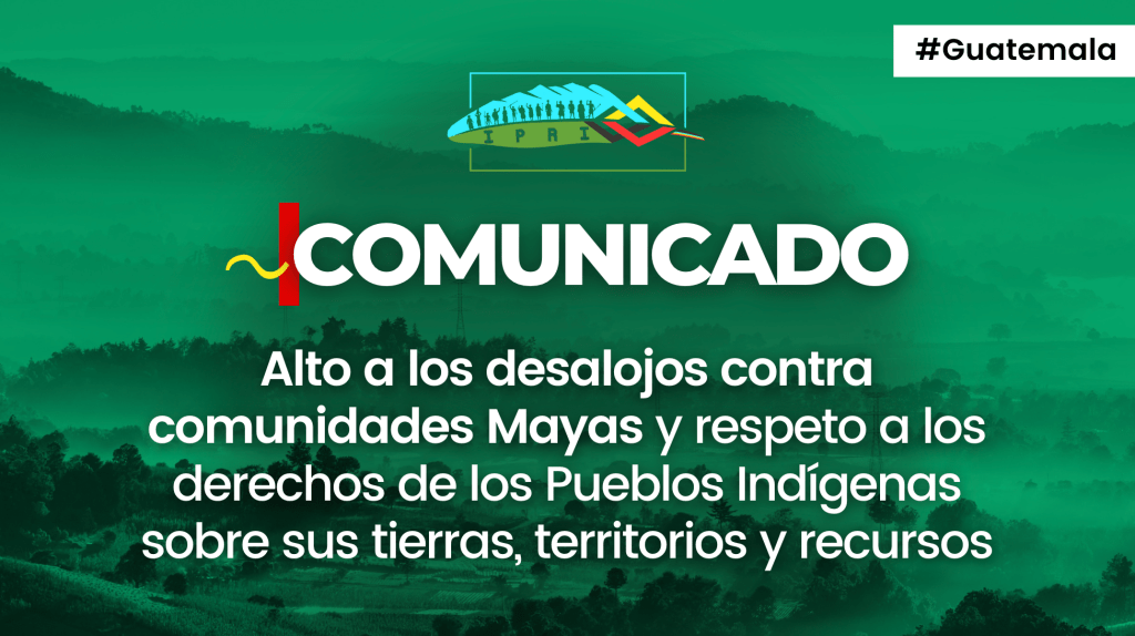 RECLAMAN ALTO A DESALOJOS DE MAYAS Y RESPETO A SUS DERECHO INDÍGENAS SOBRE SU TIERRA, TERRITORIO Y&nbsp;RECURSOS