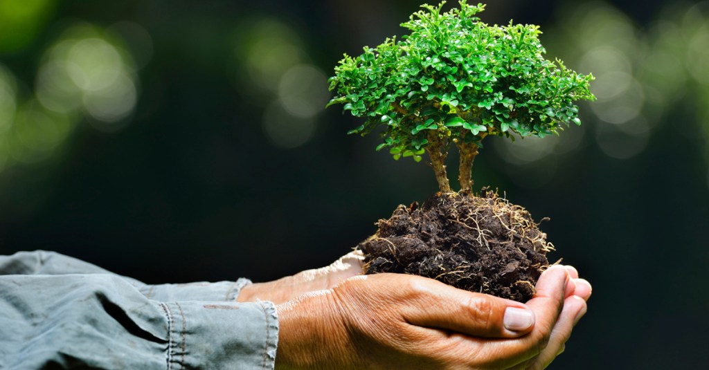 ONU-DH reconoce la labor de las personas defensoras del medio&nbsp;ambiente