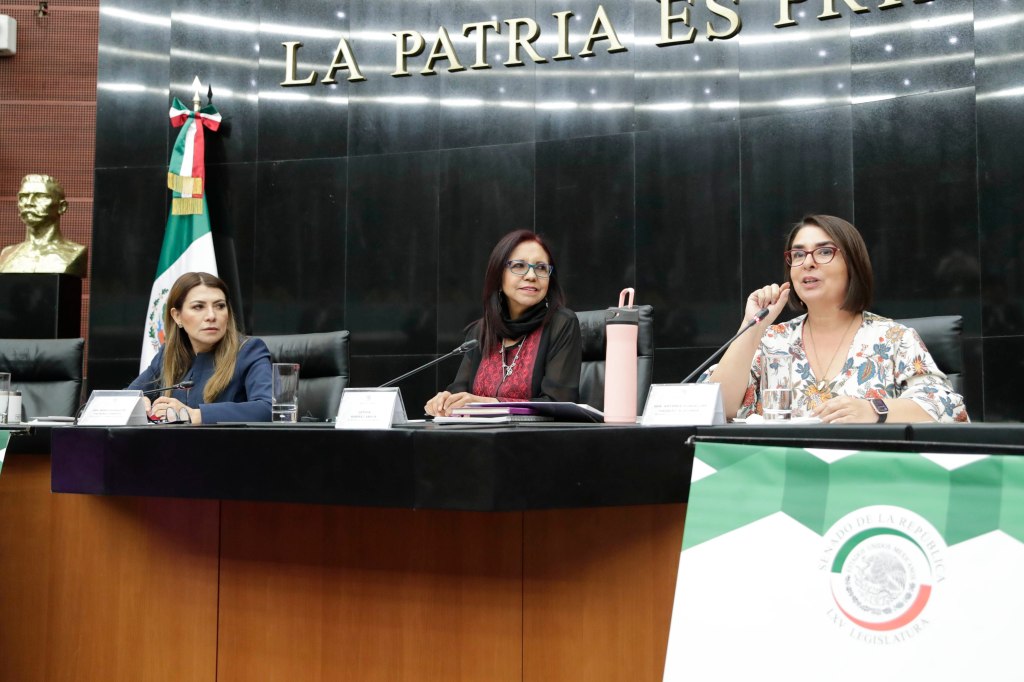 Hay recursos para rescate de escuelas en Guerrero, afirma titular de la SEP en el Senado 