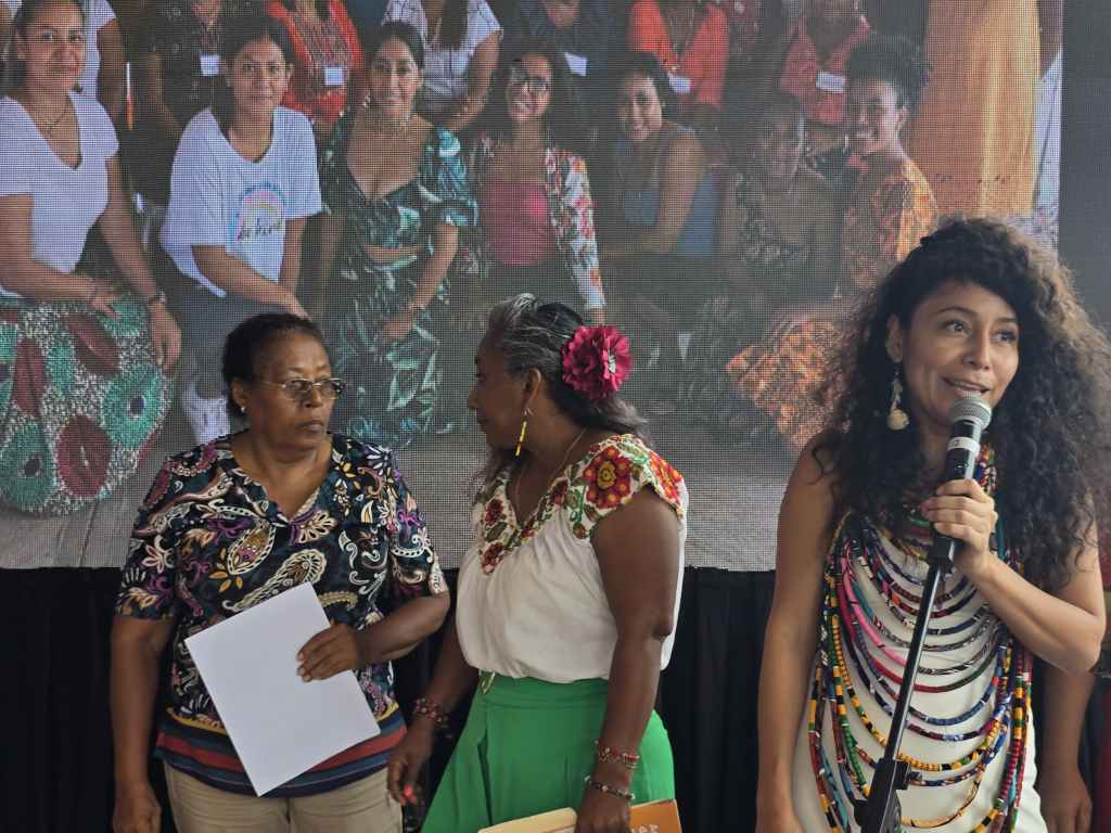 Presentan agenda de Derechos Político-electorales de las Mujeres&nbsp;Afromexicanas