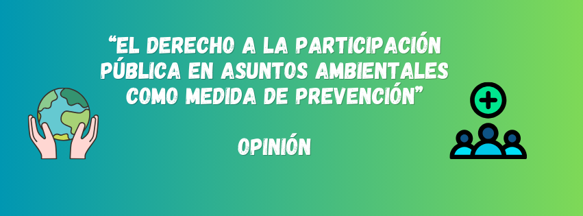 El derecho a la participación pública en asuntos ambientales como medida de prevención