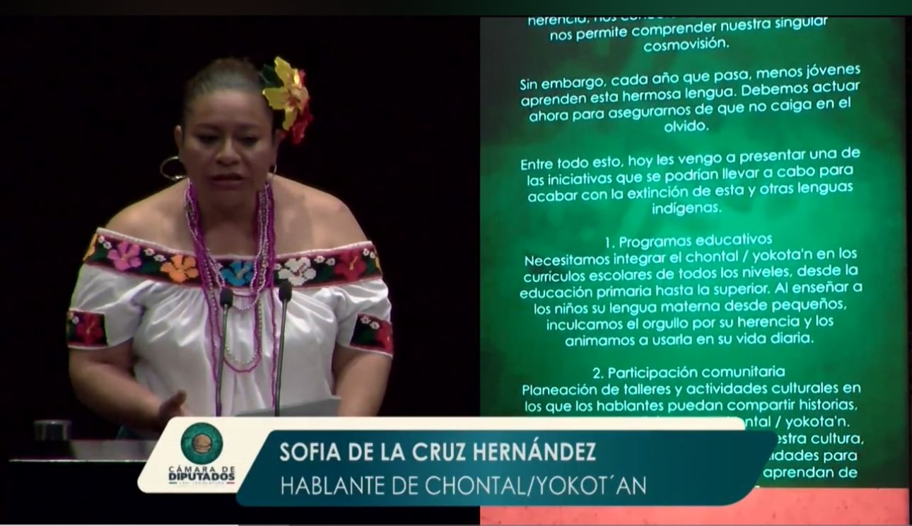 Hablante de chontal/yokot’an advierte que su lengua enfrenta desafíos que amenazan su supervivencia