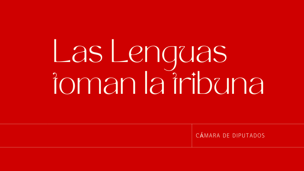 Ante diputadas y diputados, hablante de mazahua plantean el deseo de enseñar su lengua y evitar que&nbsp;desaparezca.