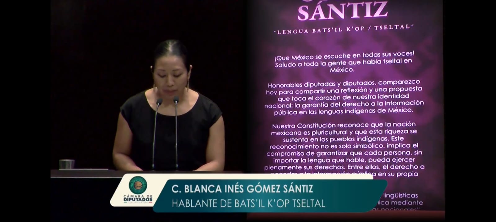 Necesario, garantizar la disponibilidad de información pública en lenguas indígenas, pide hablante de Tselta en la tribuna de la Cámara de Diputados
